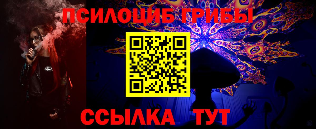 цена   Псилоцибиновые грибы Cubensis  Вход с VPN  Бердск 