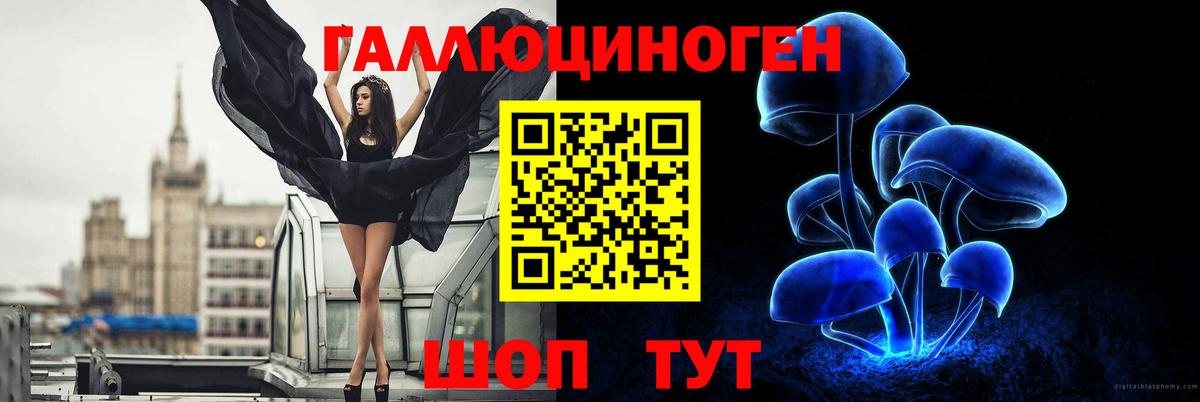 Псилоцибиновые грибы ЛСД Бердск